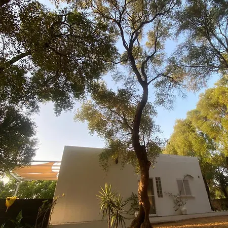 El Refugio De Marismas בית נופש El Soto